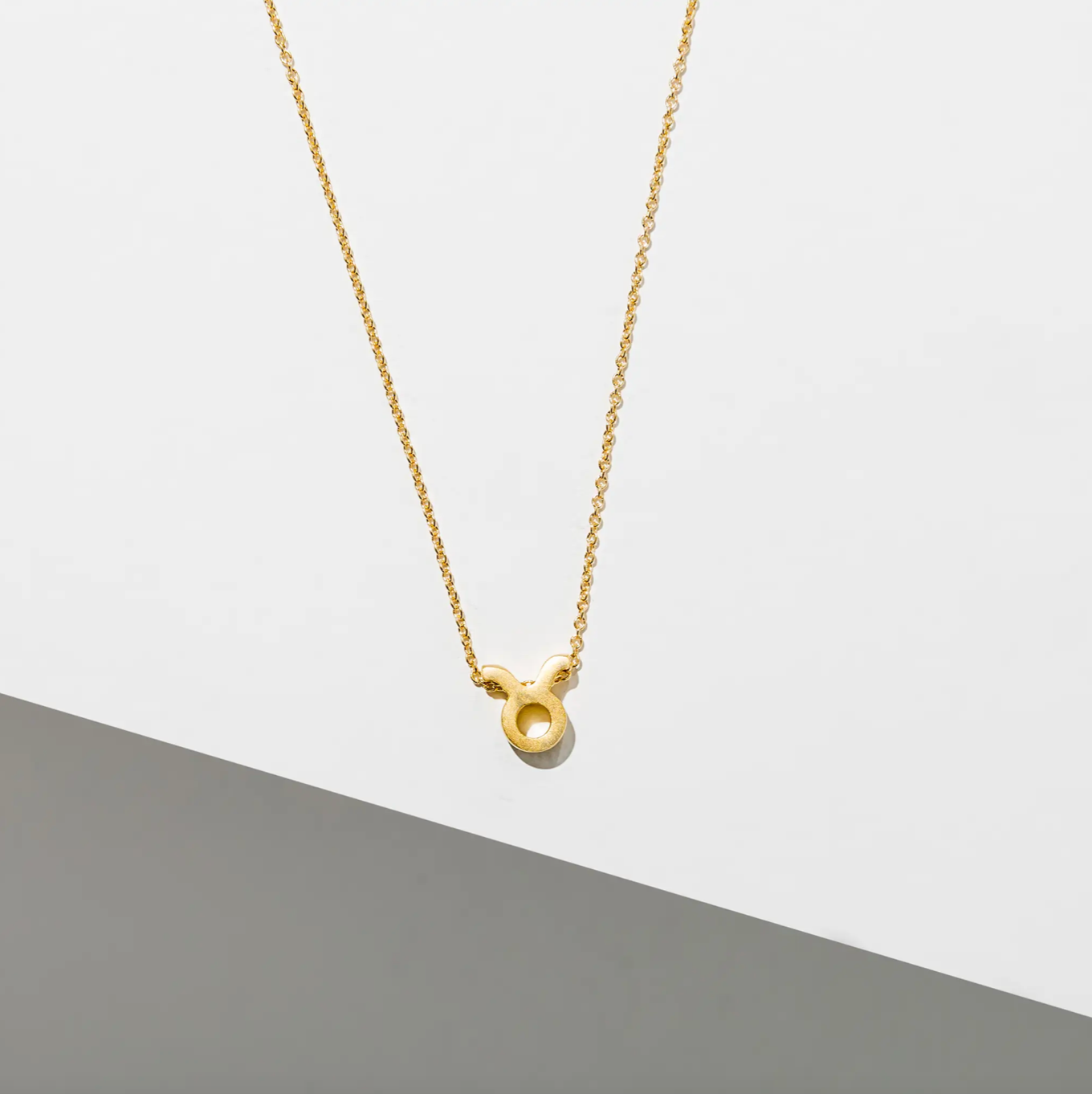 Zodiac Sign Necklace